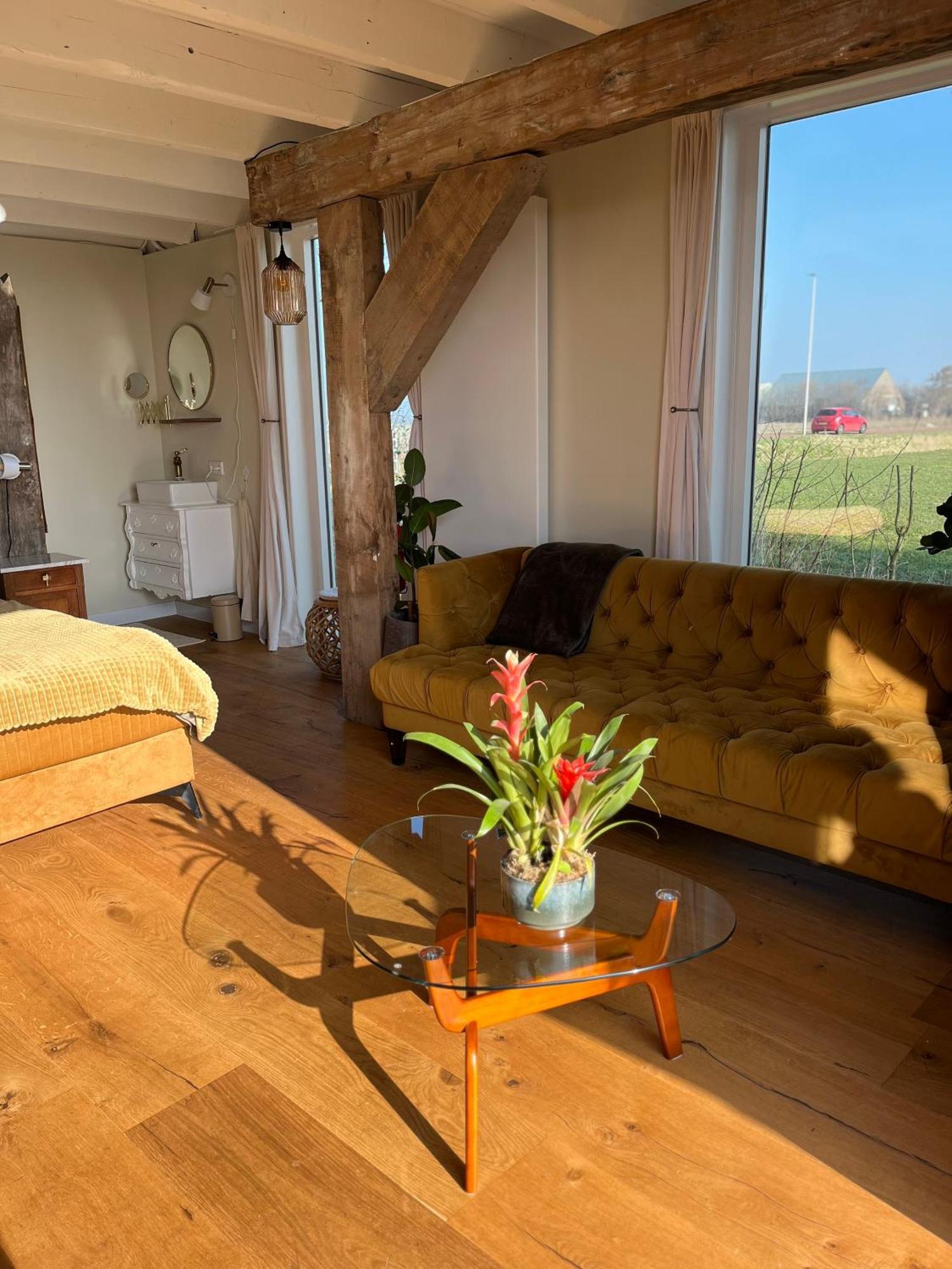 B&B De Vrijbuiter De Cocksdorp  Extérieur photo